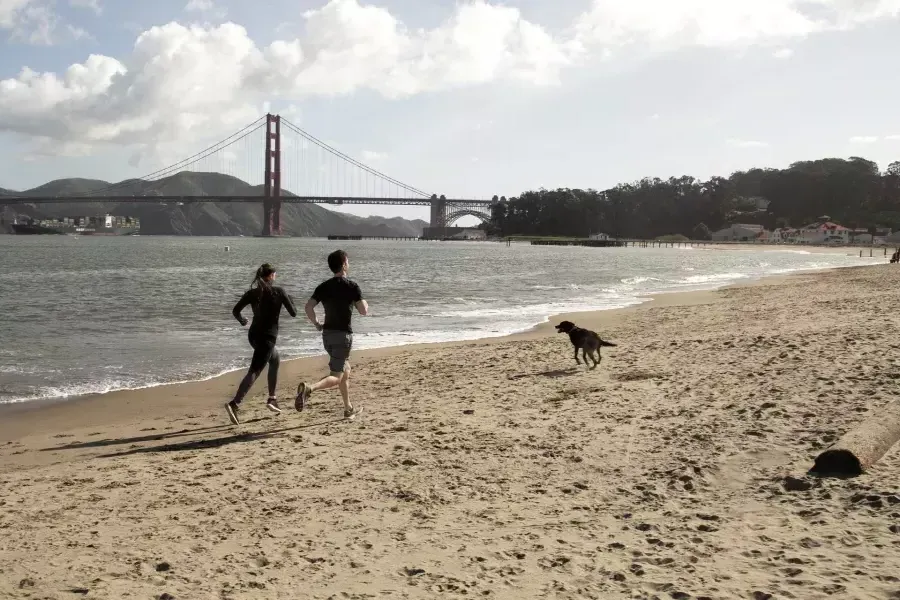 Les coureurs sur le terrain de Crissy